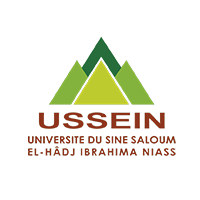 USSEIN Logo